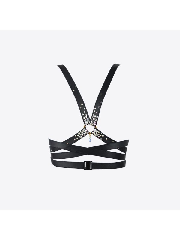 ECLYPSE JEWELRY HARNESS