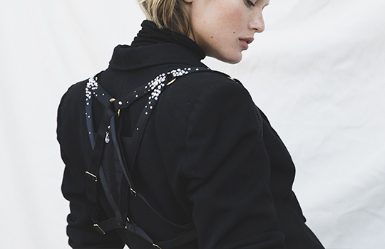 Harness jewelry image